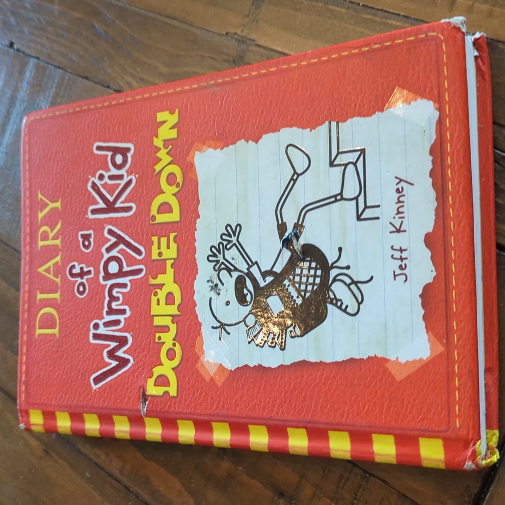 BUNDLE 2 Wimpy Kids Double Down